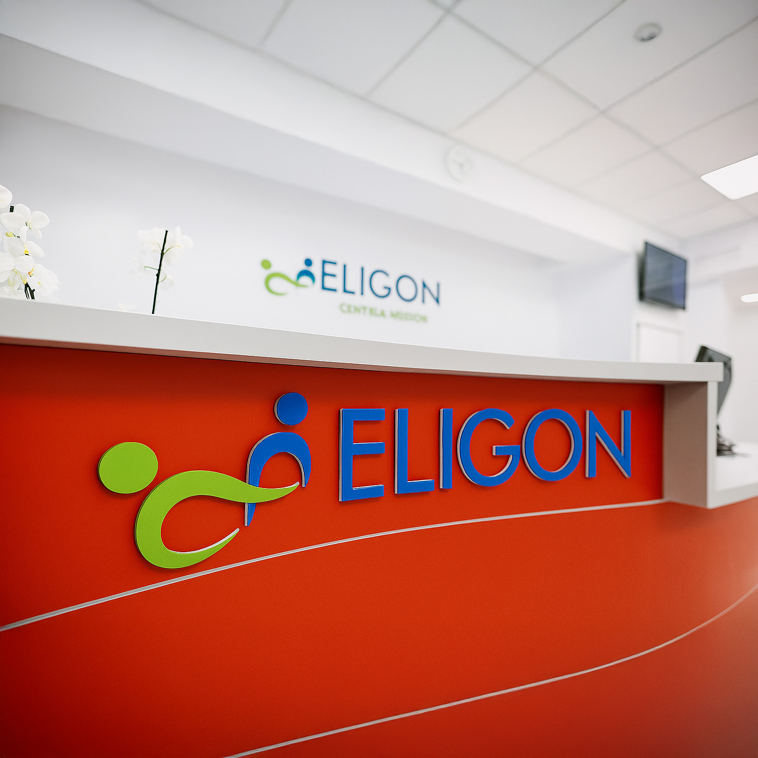 Imagistică ELIGON